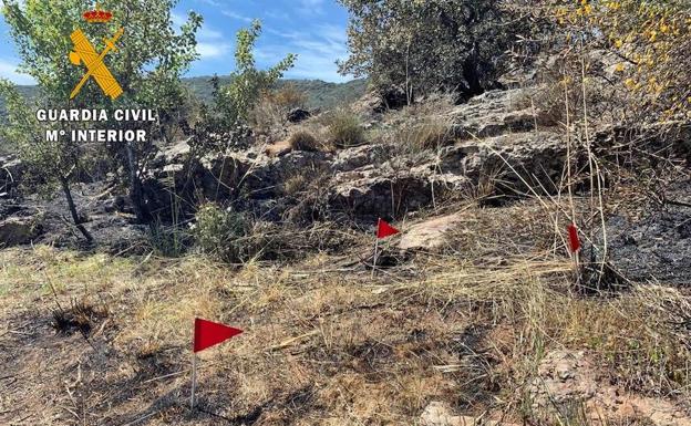 La «imprudencia grave» de un agricultor, causa del incendio en un paraje de Feria en marzo