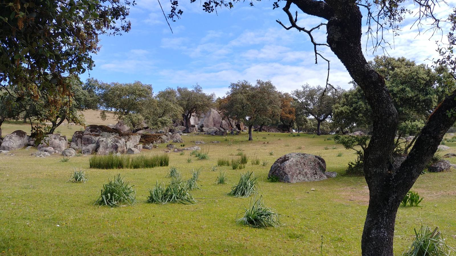 Los canchales y la Padrera de San Isidro de la Roca de la Sierra