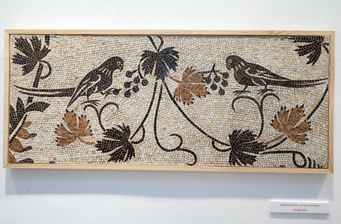 Mosaicos, tras las huellas del pasado