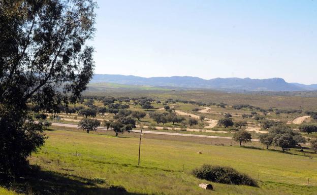 Cora Alpha llega a un acuerdo financiero con Agostar Group sobre Elysium City