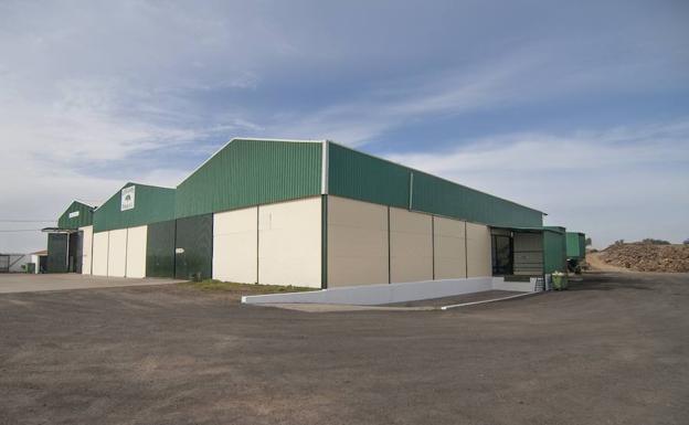 Corchos Oliva construirá la primera fábrica «ecológica» de carbón vegetal