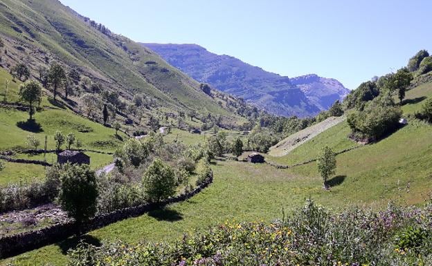 Valles pasiegos, verdor infinito en el interior de Cantabria