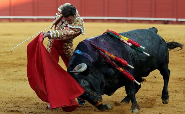 Antonio Ferrera, decidido a torear el jueves en la feria de Córdoba