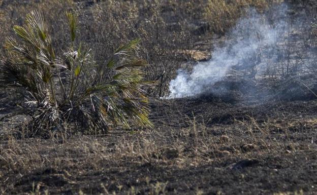 Estabilizado el incendio de Huelva, en el que siguen trabajando más de 100 bomberos