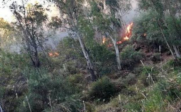 La Guardia Civil investiga a cinco personas por los incendios en La Serena y Zafra