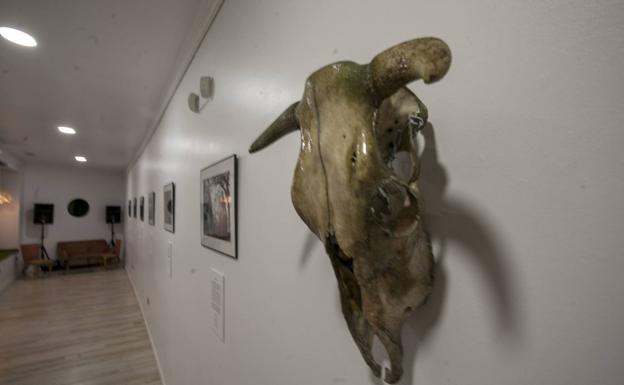 La exposición 'Mitos y Leyendas' en Caminomorisco