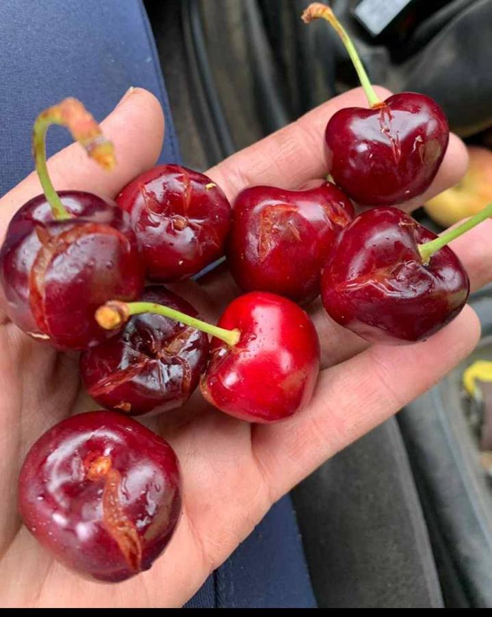 Granizada en Tornavacas
