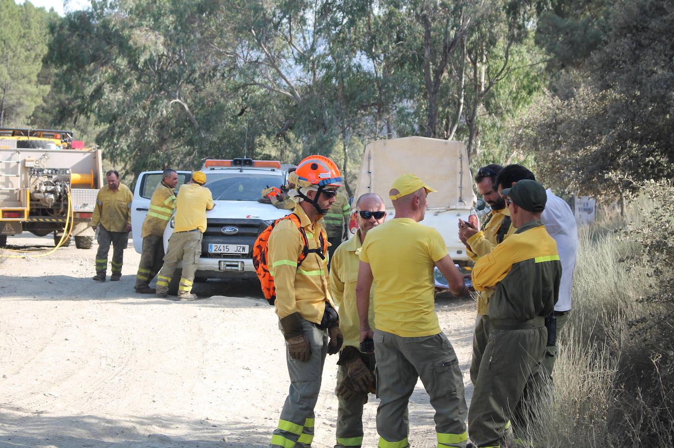 Imágenes del incendio que ha afectado a un pinar de Monesterio