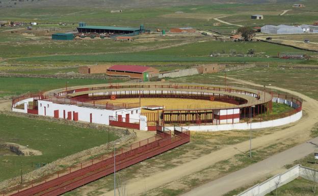 Las fiestas de Puebla de Alcocer, marcadas por la tradición taurina