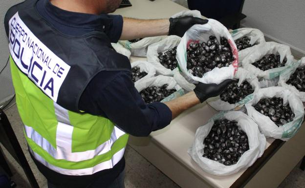 Detenido en Badajoz por llevar 15 kilos de hachís en el maletero del coche
