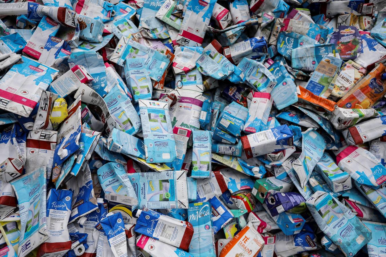 La basura sale del mar y encuentra un camino reciclable en Venezuela