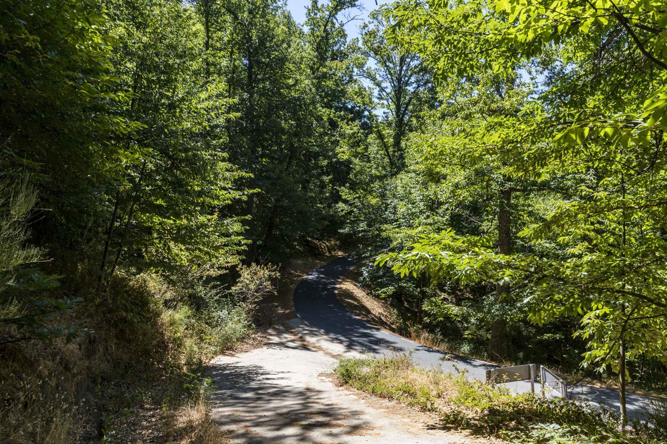 Hervás: Un bosque de cuento