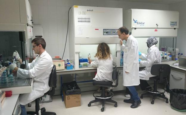 Casi la mitad de los ensayos clínicos son para tratar a pacientes oncológicos