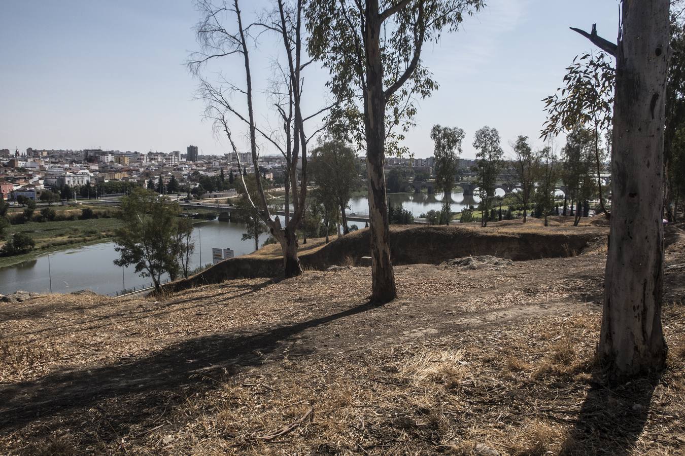 Labores de limpieza y desbroce de los entornos monumentales de Badajoz