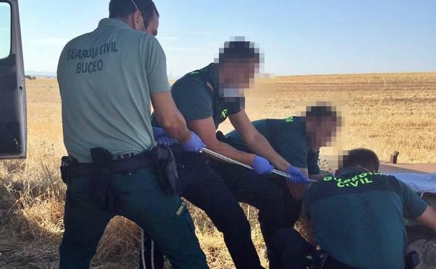 Investigan a dos vecinos de La Albuera y Talavera por matar a cuatro galgos y arrojarlos a un pozo