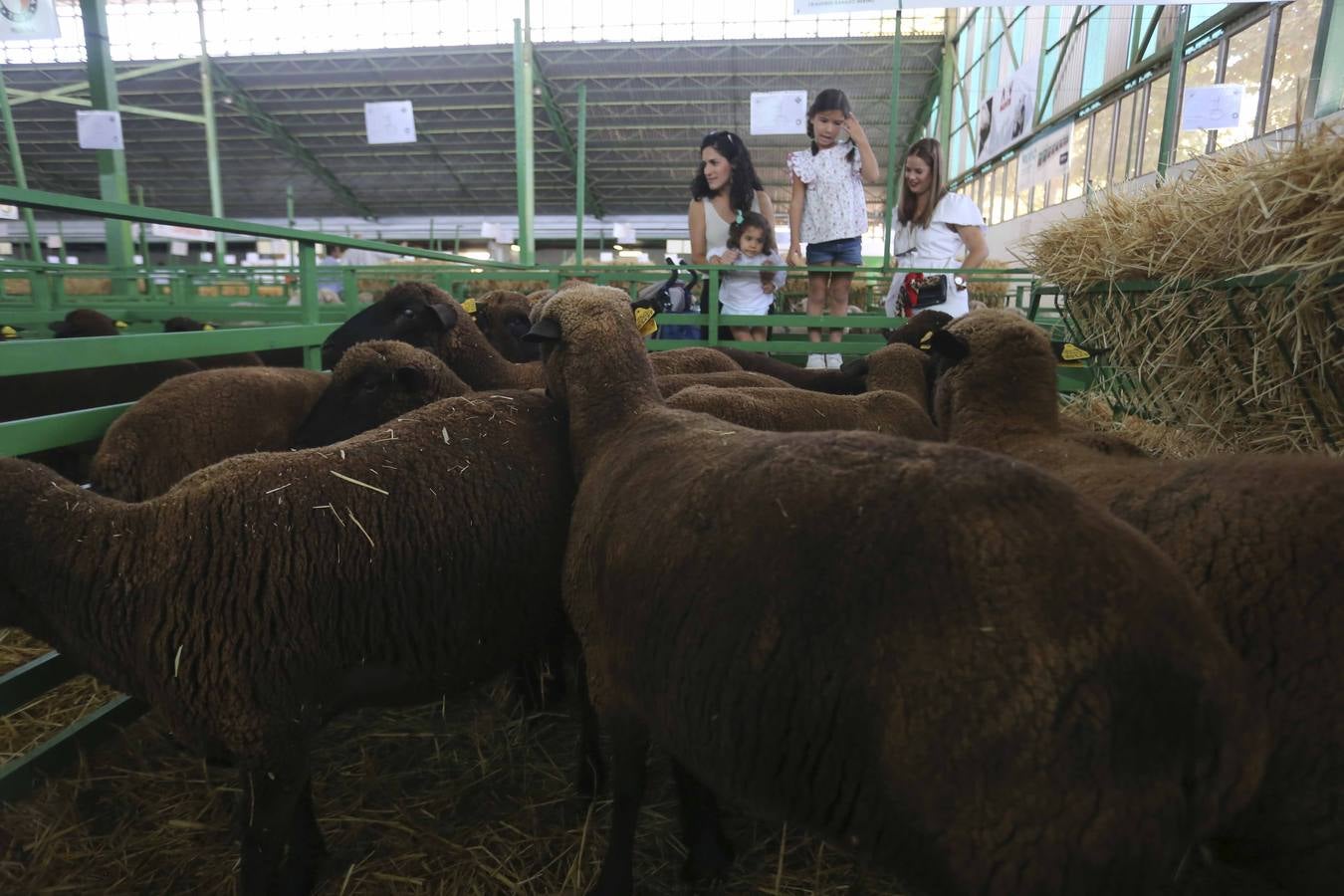 La Feria Internacional Ganadera de Zafra 2019