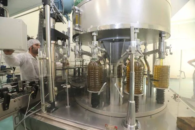 Monterrubio quiere triplicar su producción de aceitunas