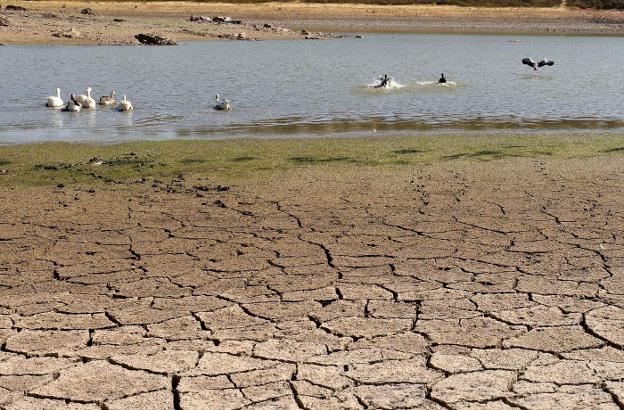 Mérida acuerda con varios pueblos que se abastezan de su anillo de agua