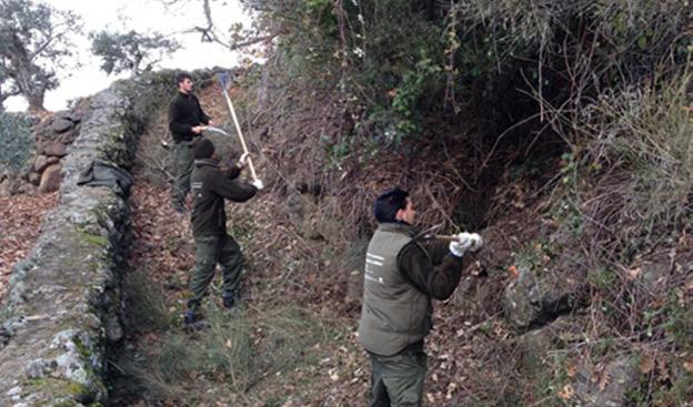 Seis ayuntamientos cacereños impulsan una nueva escuela profesional