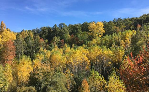 Se buscan paisajes de cine en el Valle del Ambroz, Trasierra-Tierras de Granadilla y La Serena