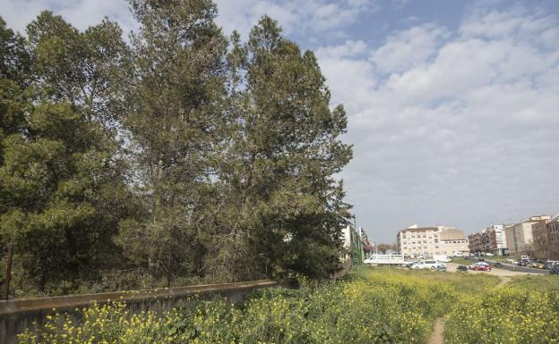 El Ayuntamiento de Badajoz hará el campo de fútbol de San Fernando con el millón de la Diputación