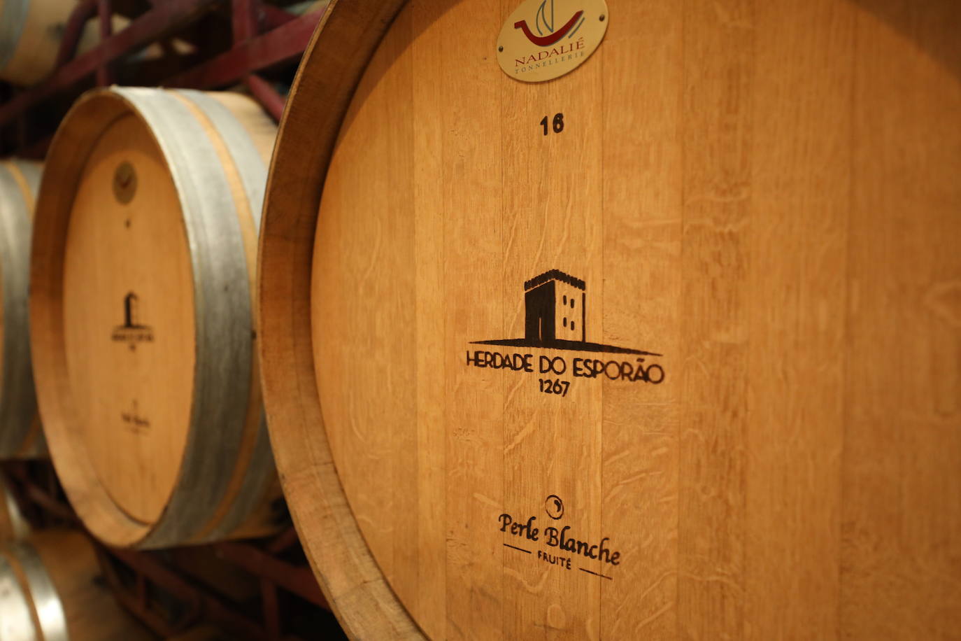 Bodega y dehesa para los cocineros de Terrae antes de regresar a los fogones