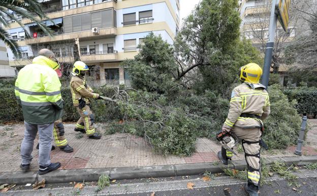 Alerta por vientos y lluvias en Extremadura