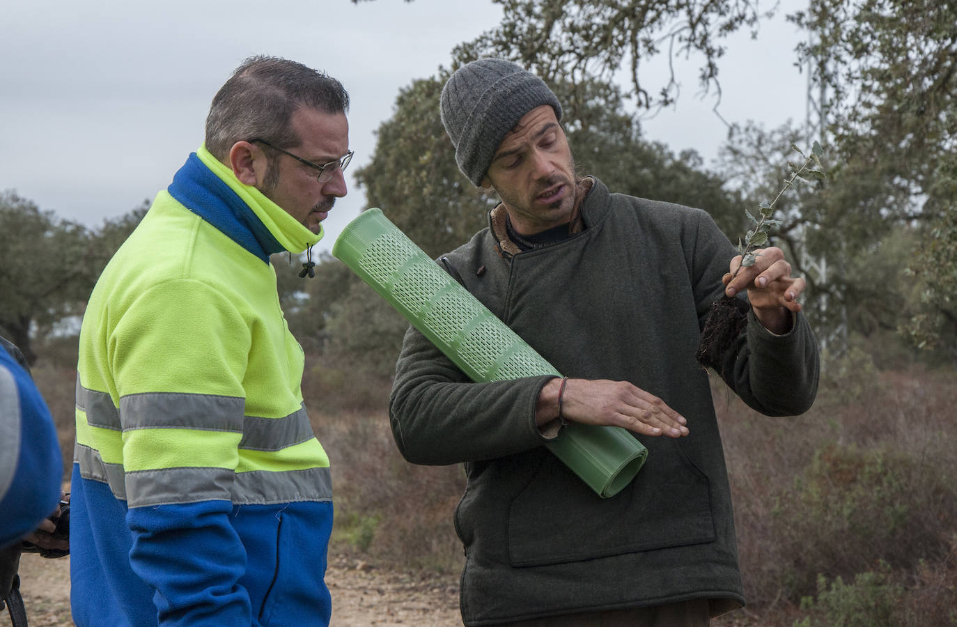 14.000 bellotas para reforestar Tres Arroyos