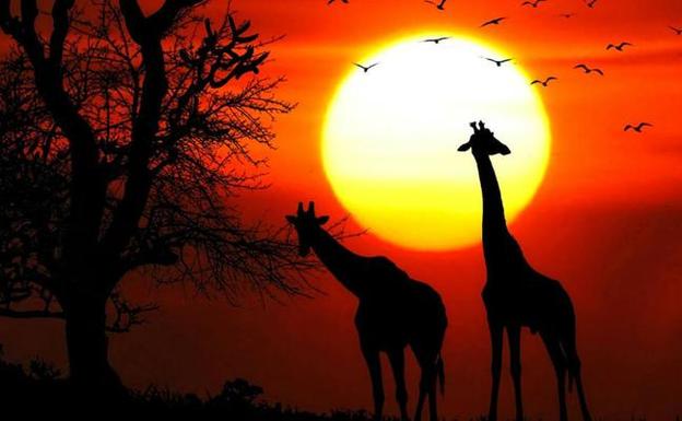 El Palacio de Congresos de Cáceres acoge dos espectáculos