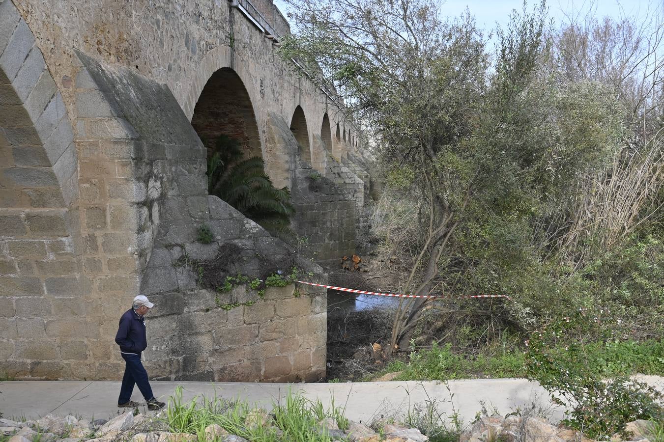 La Confederación elimina la vegetación del Puente de Palmas