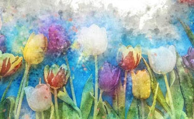 Presentación de un poemario en el Palacio de la Isla de Cáceres