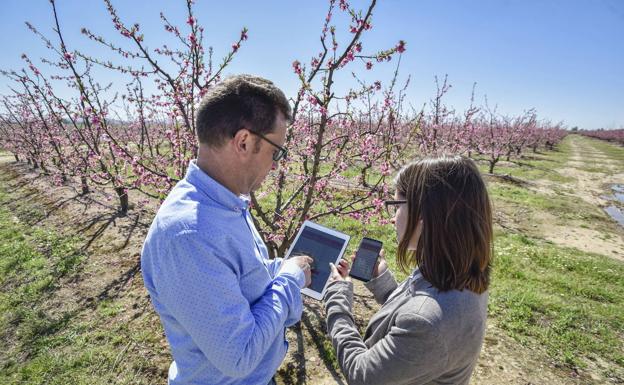 Miajadas Telecom presenta en Agroexpo su sistema de control remoto 'Riega-T'