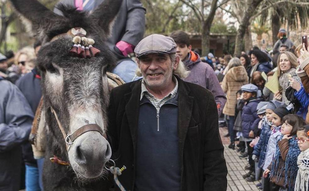 El burro 'desahuciado' de la Plaza de Toros