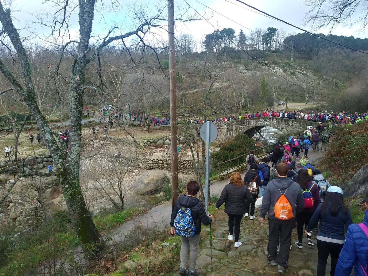 Centenares de caminantes recrean en La Vera el último viaje de Carlos V