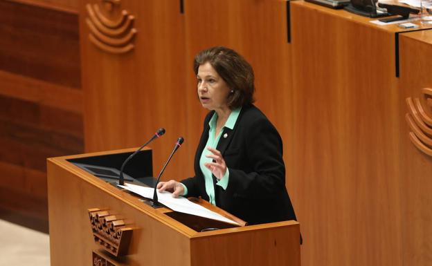 Las leyes de colegios profesionales y de museos siguen trámite parlamentario