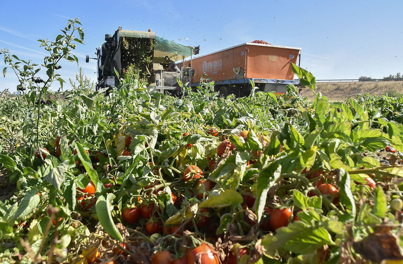 Las exportaciones regionales alcanzan otro récord por las frutas, las hortalizas y el acero