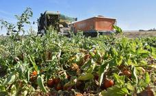 Las exportaciones regionales alcanzan otro récord por las frutas, las hortalizas y el acero