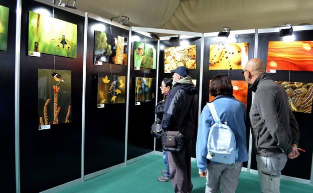 FIO 2020 cierra con 16.900 visitantes