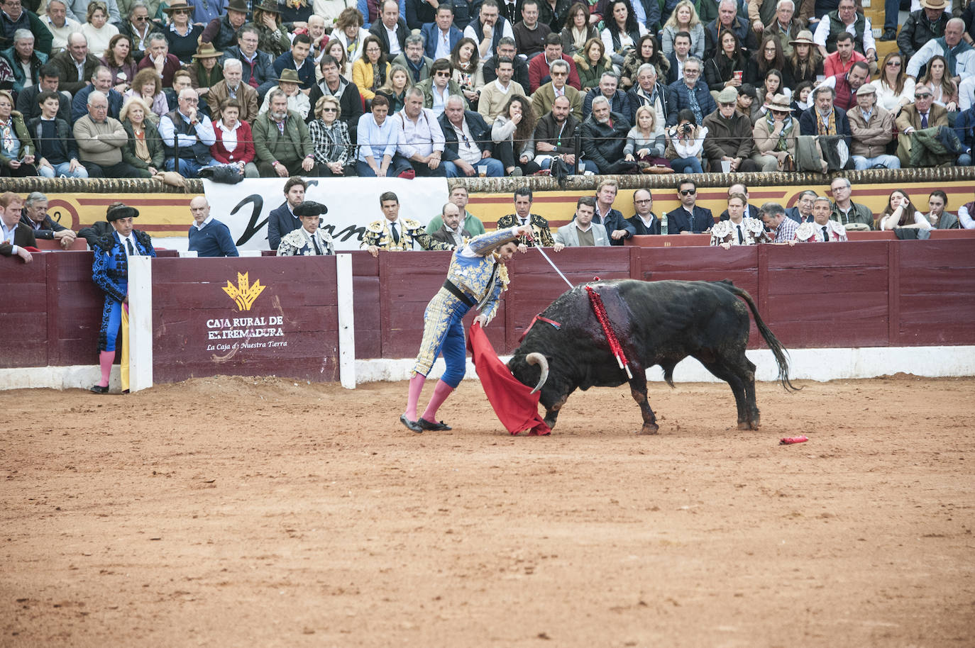 Morante, Manzanares y Aguado, en el cuarto festejo de la feria de Olivenza