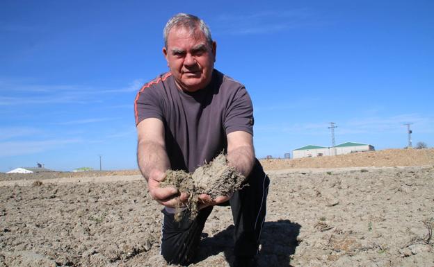 Los agricultores del Guadiana urgen empezar a regar un mes antes por la sequía