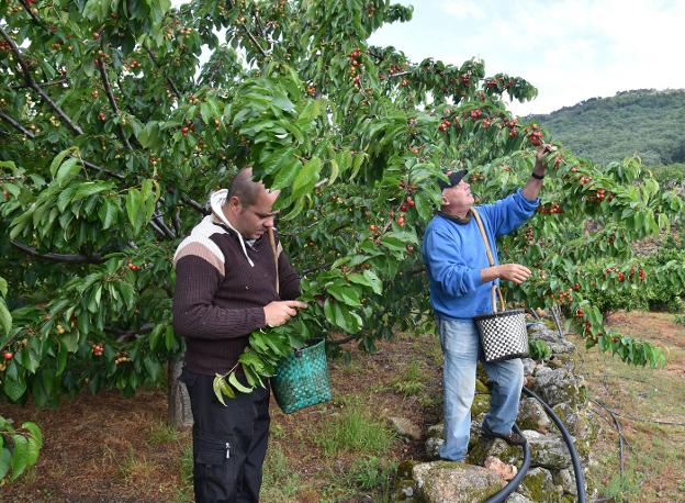 ¿Qué pasará después?