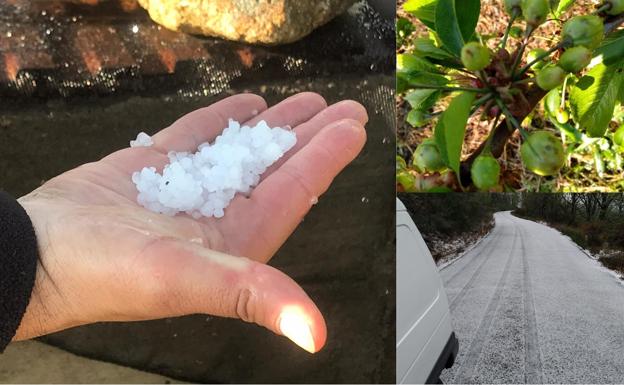 UPA-UCE alerta de que miles de hectáreas de cerezas han quedado arrasadas tras una granizada