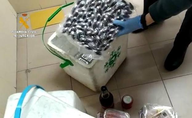 Se salta el confinamiento para llevar droga desde el sur a la provincia de Badajoz oculta en dobles fondos de neveras portátiles