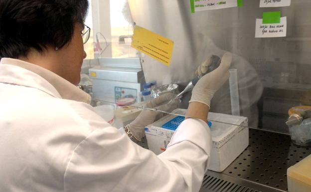 Los laboratorios de Veterinaria y de la finca La Orden harán pruebas de COVID