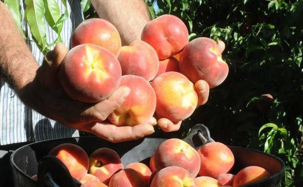 El confinamiento hace crecer la demanda de fruta de hueso extremeña en los hogares