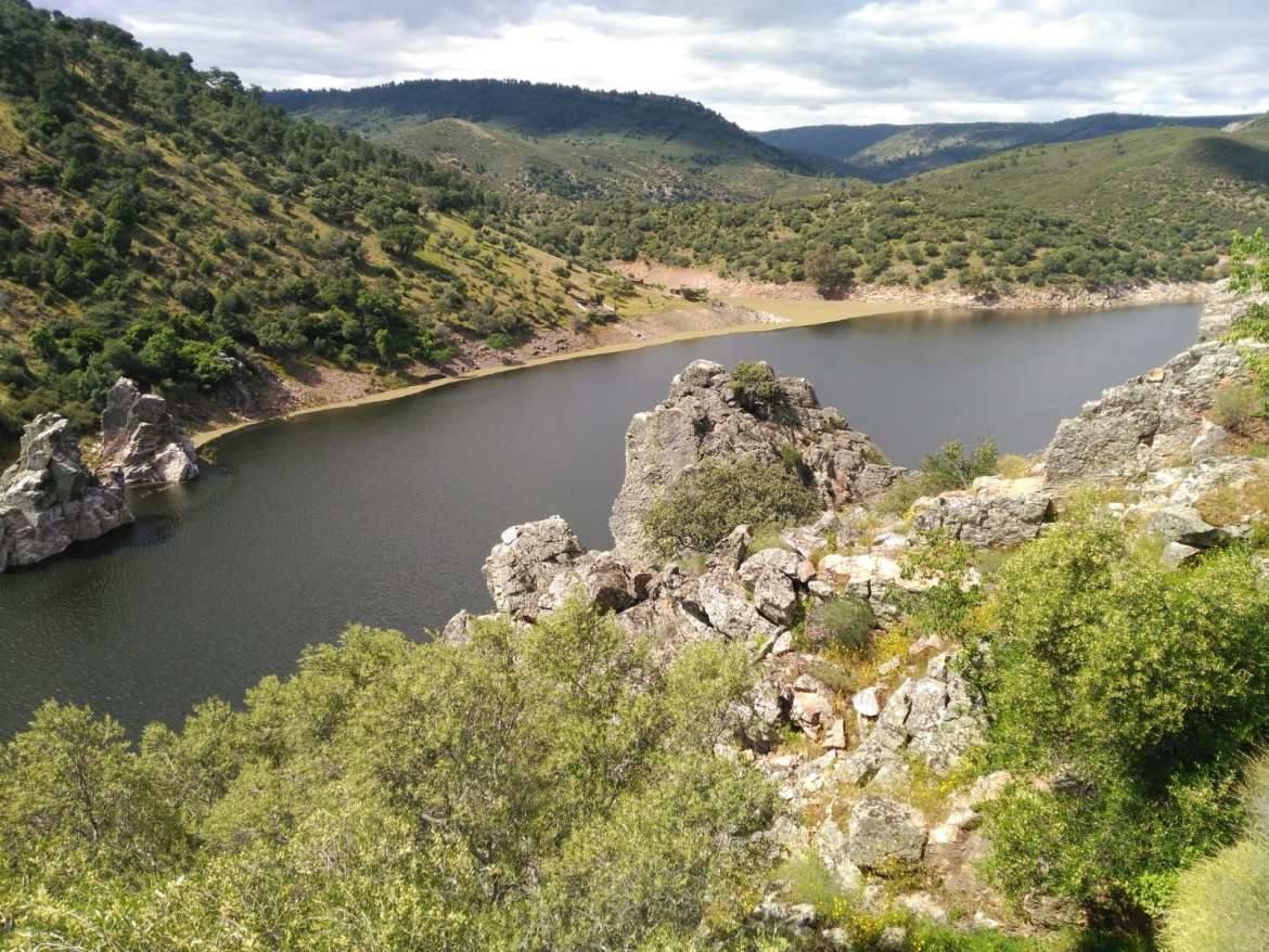 La azolla desaparece de las aguas del Tajo a su paso por Monfragüe