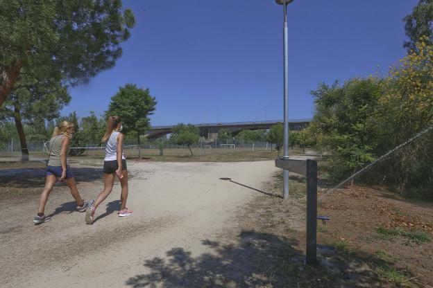 La Isla de Mérida se convierte en una gran pradera