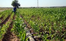 El Gobierno prorroga hasta el 30 de septiembre las medidas sobre empleo agrario