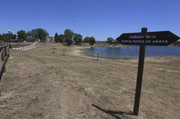 Mérida desbroza la zona de playa de Proserpina aunque aún no está permitido el baño