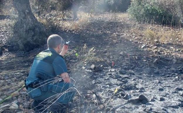 El Seprona investiga a un vecino de Monterrubio que causó un incendio con una quema en un olivar